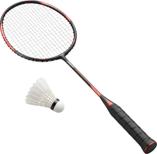 a badminton racket and shuttle